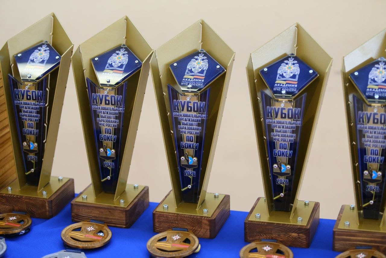 кубок МЧС России по боксу Академия гражданской защиты